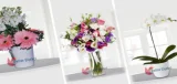 Don't Underestimate Men, They Like Flowers Too