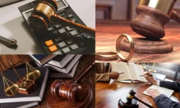 Enerji Hukuku Davaları Nedir?