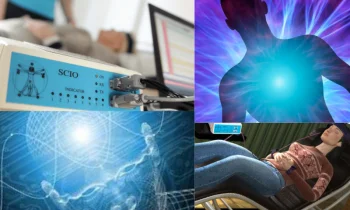 Scio'nun Temel Amacı Nedir?