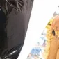 Are Siyap Trash Bags Harmful to Health?