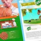 Web Sitesi Nasıl Kurulur